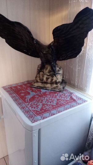 Чучело орла