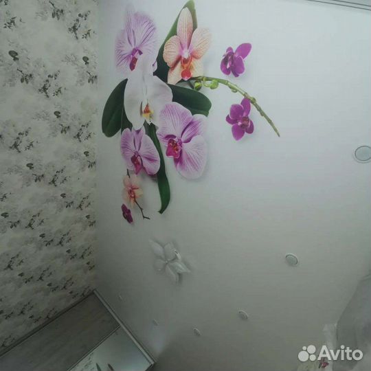 Лучшие натяжные потолки в Монино