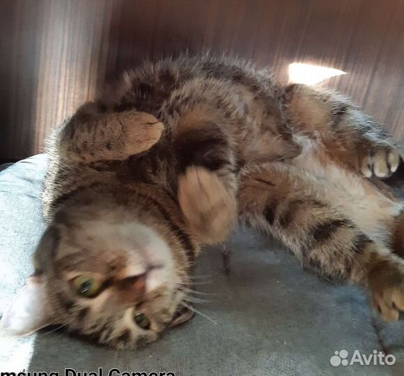 Европейская