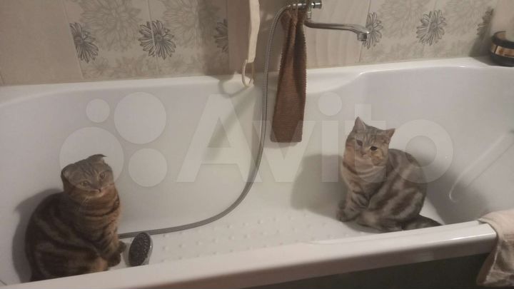 Квартира-студия, 28 м², 6/16 эт.