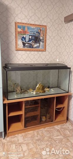 Аквариум с тумбой 240лит