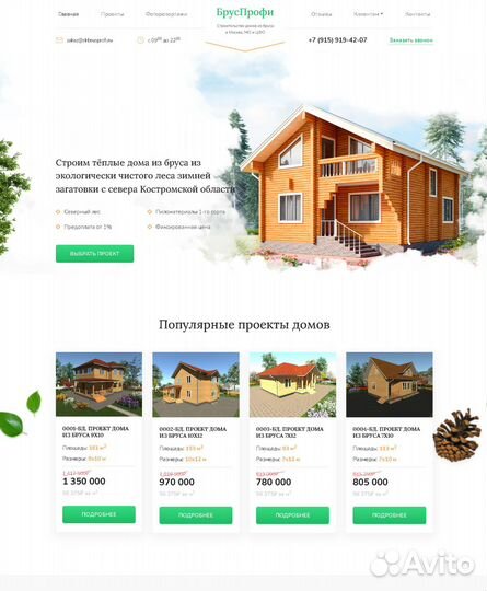 Профессиональная разработка сайтов