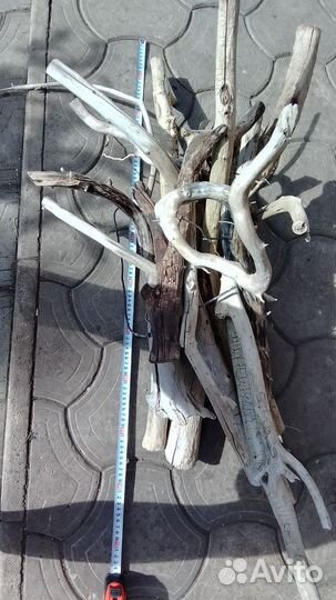 Коряги для аквариума/террариума