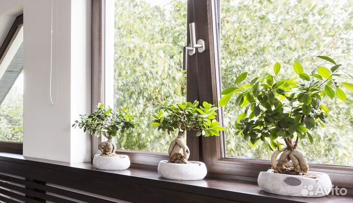 Пластиковые окна Rehau с монтажом