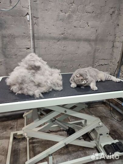 Груминг собак и кошек