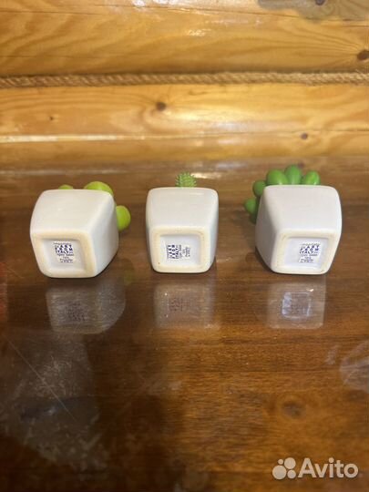 Мини кашпо керамика с кактусами