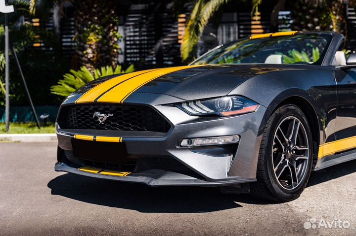 Аренда авто прокат Ford Mustang 2021 г