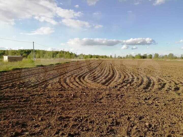 Участок 12 сот. (ИЖС)