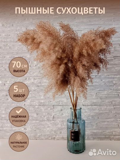 Дизайнер инфографики