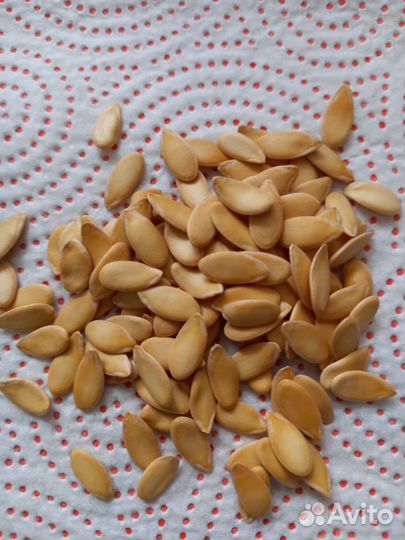 Семена арбуза и дыни