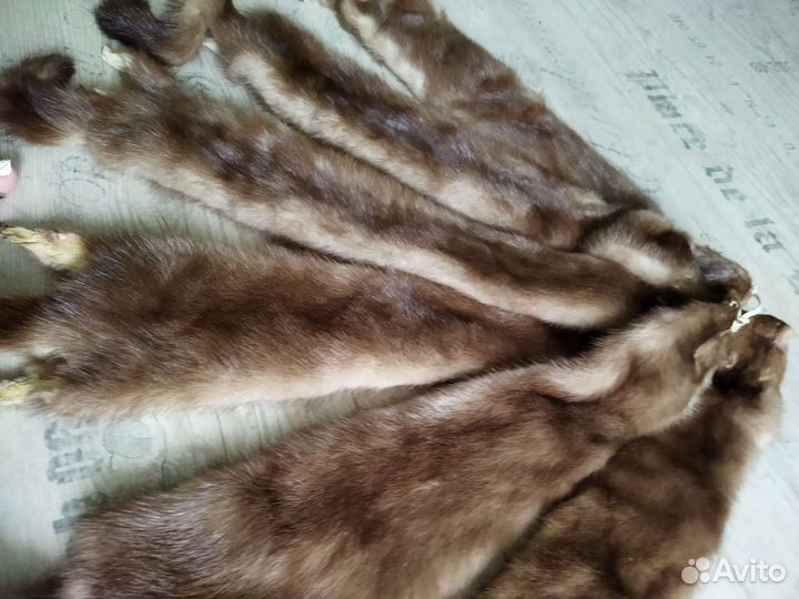 Шкурки норки