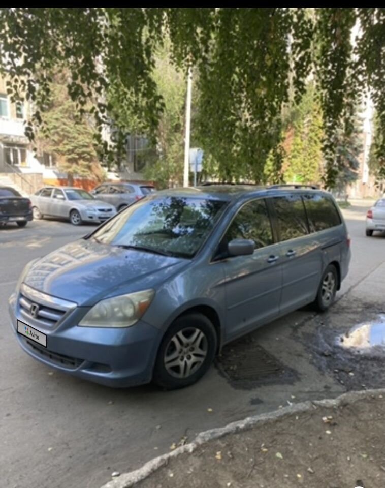 Honda Odyssey (North America): фото владельца