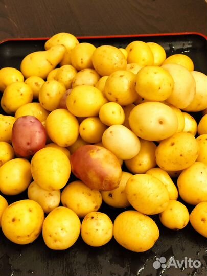 Продам картофель с доставкой