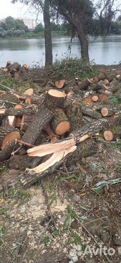 Дрова бесплатно самовывоз