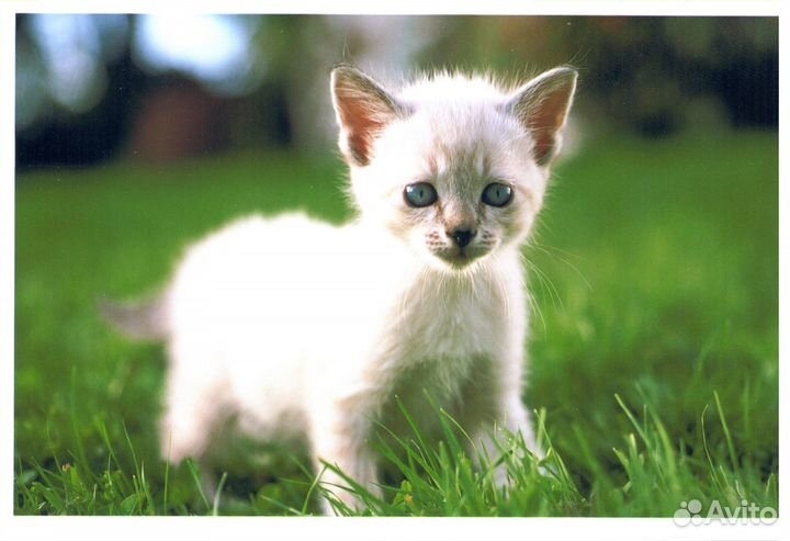 Печать фотографий