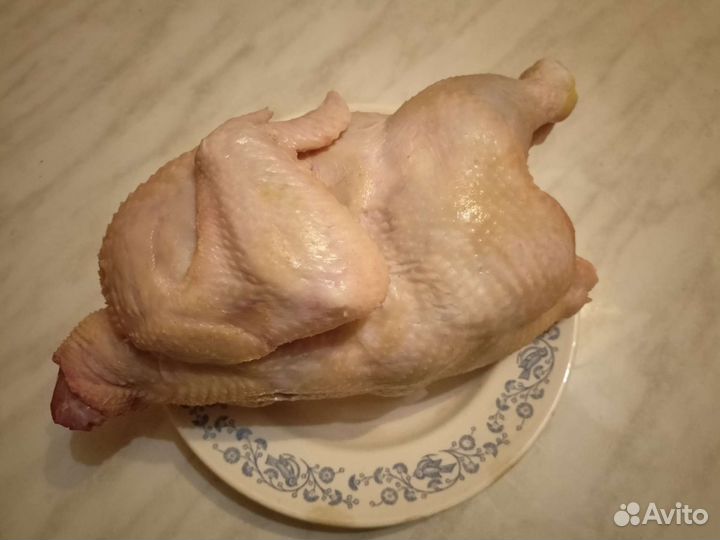 Мясо кур и индюшки