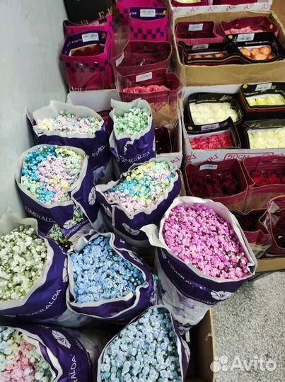 Свежесрезанные цветы оптом