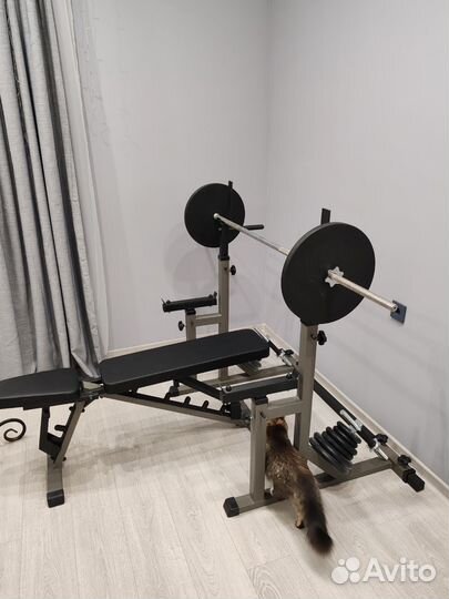 Стойки для жима штанги