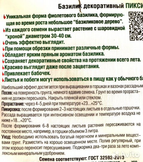 Базилик в горшке