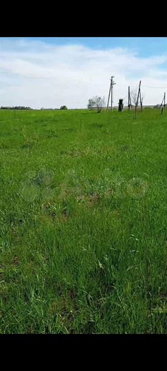 Участок 15 сот. (ИЖС)