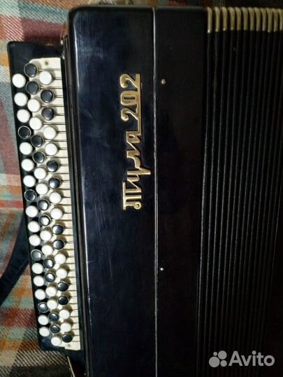 Баян Тула 202