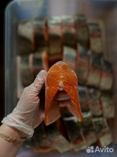 Радужная форель