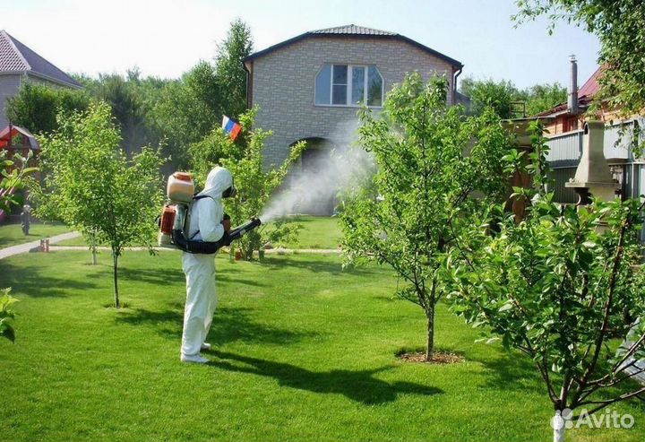 Уничтожение клопов тараканов клещей