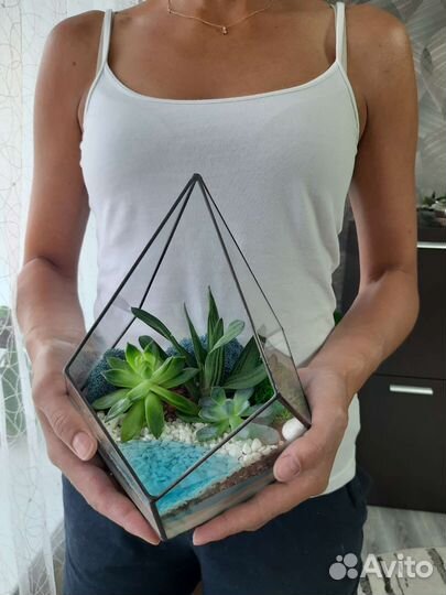 Флорариум из суккулентов с водоёмом
