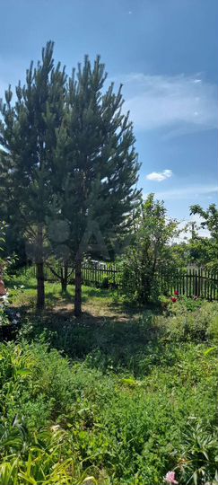 Дача 80 м² на участке 6 сот.