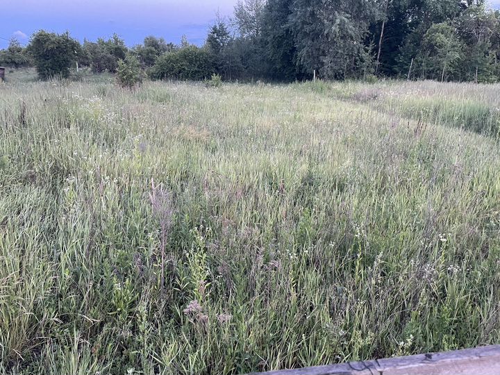 Участок 12 сот. (ИЖС)