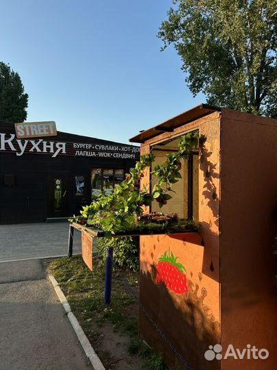Клубника в шоколаде
