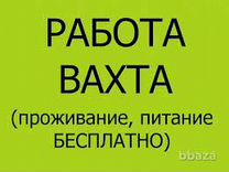 Вахта/ грузчик/ все включено/ вахта без обмана