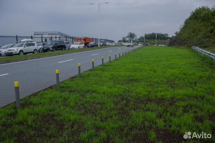 Семена трав для газона. Оптом от производителя