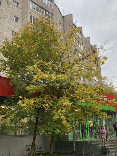 2-к. квартира, 48,4 м², 6/9 эт.