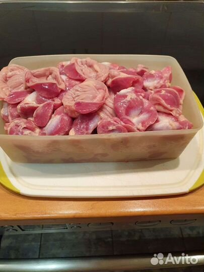 Кура домашняя