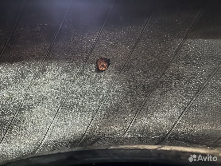 Michelin Primacy 4 205/55 R16 91V