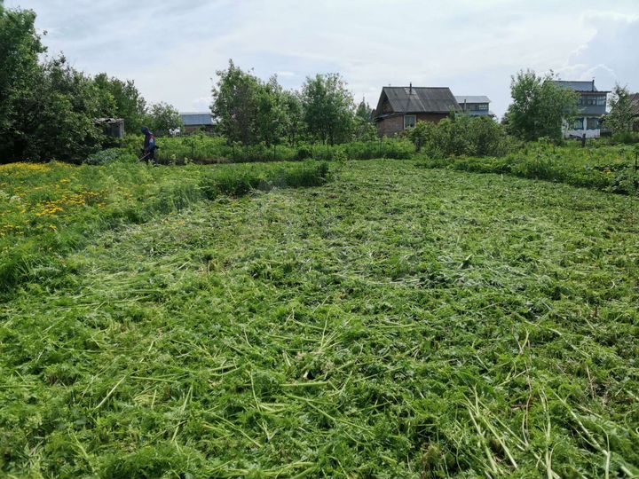 Дом 24 м² на участке 6 сот.