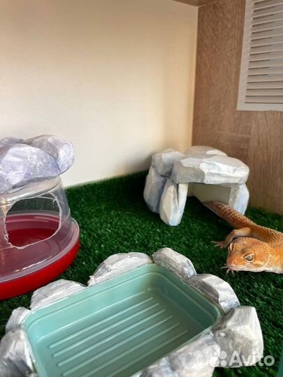 Террариумы для рептилий ручной работы под заказ