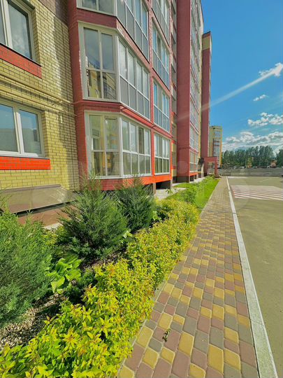 2-к. квартира, 55,2 м², 1/9 эт.