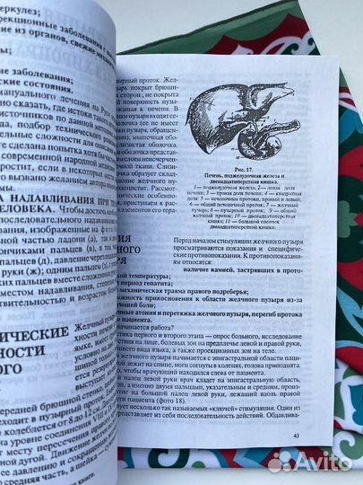 Висцеральная хиропрактика в старорусской медицине