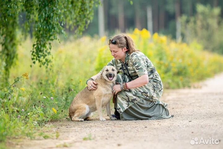 Мододая собака в дар