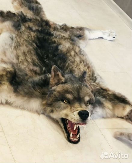 Искусственная шкура волка. Репродукция. Синтетика