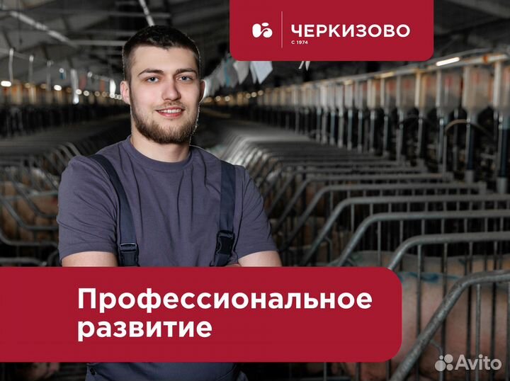 Рабочий на свинокомплекс