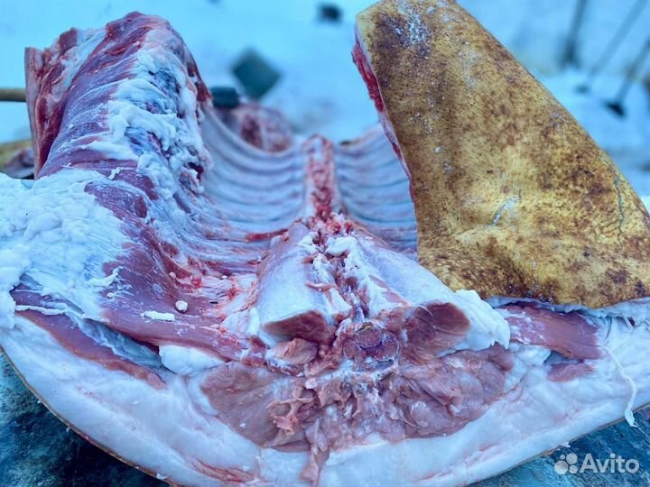 Мясо свинина домашняя