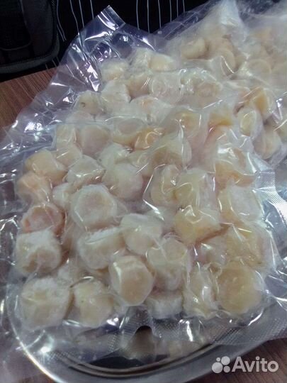 Морской гребешок