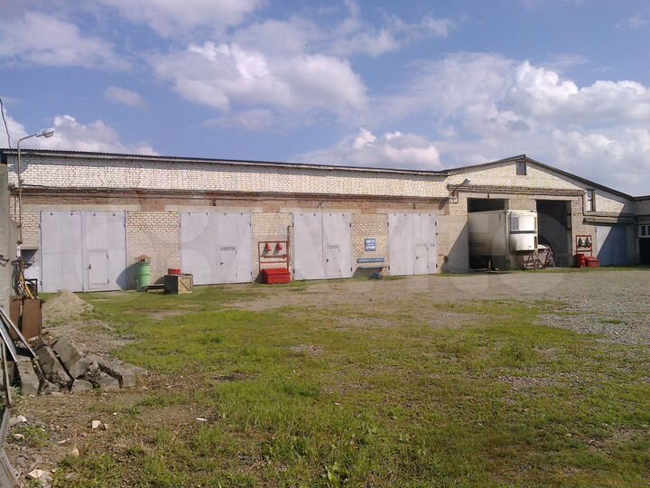 Помещение свободного назначения, 5000 м²