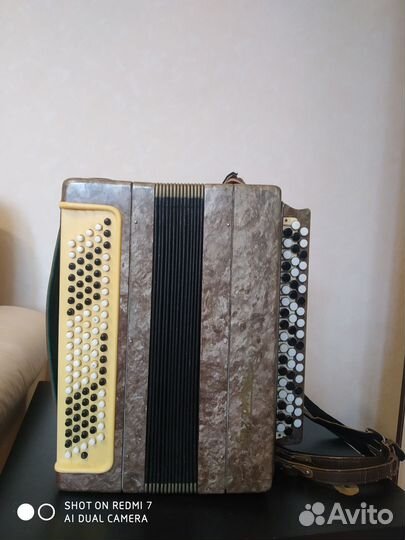 Баян тула 202