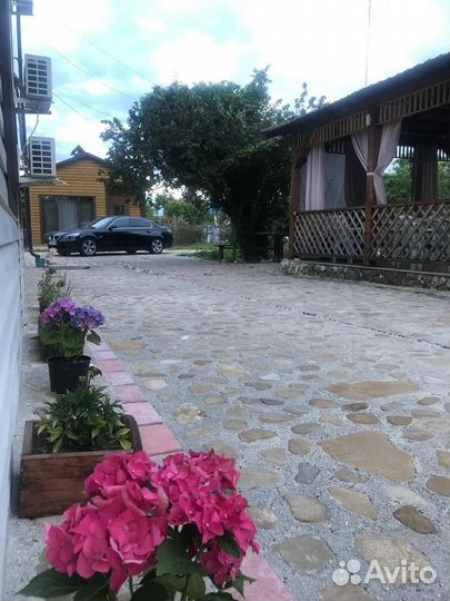 Отдых в абхазии