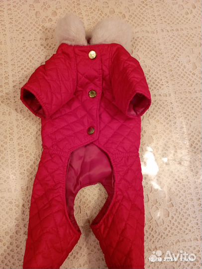 Комбинезон для собак мелких пород