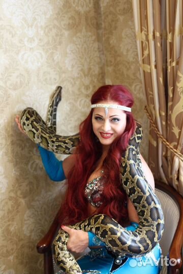 Восточное шоу для Вашего праздника